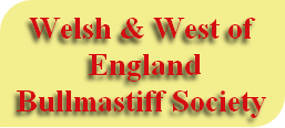 Welsh & West of 
 England
Bullmastiff Society