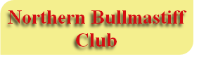 Northern Bullmastiff 
Club